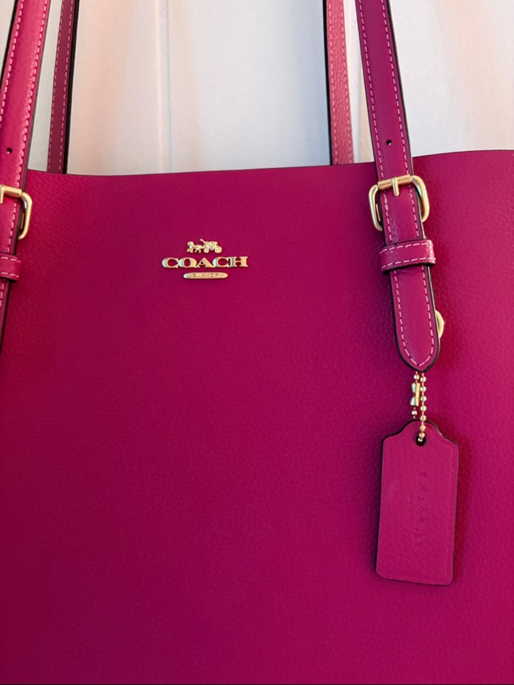 Coach Mollie Tote Bag - Picture 2 of 11